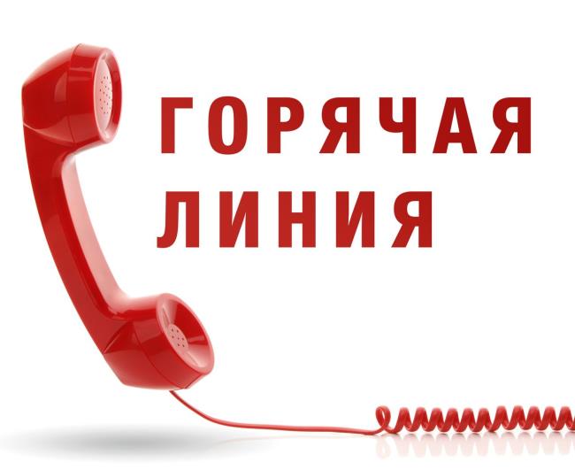 «Горячая линия» по коронавирусу открылась для пожилых людей «Горячая линия» по коронавирусу открылась для пожилых людей